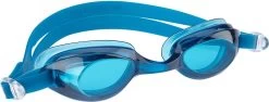 Waimea Zwembril Junior - One Piece - Blauw